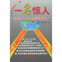 一名惊人: 公司产品命名设计指南