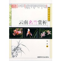 云南名兰赏析