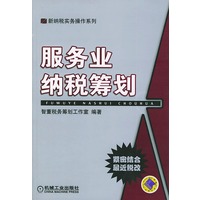 服务业纳税筹划——新纳税实务操作系列