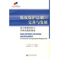 版权保护法制的完善与发展