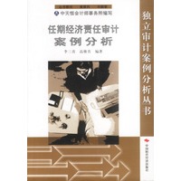任期经济责任审计案例分析