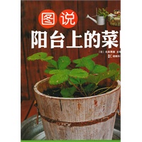 图说阳台上的菜园