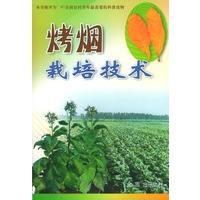烤烟栽培技术