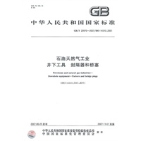石油天然气工业井下工具 封隔器和桥塞