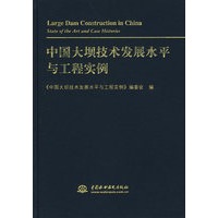 中国大坝技术发展水平与工程实例 (精装)