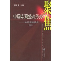 中国宏观经济形势聚焦：央行调查报告2003
