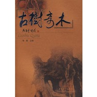 古树奇木