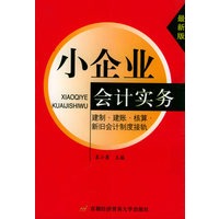 小企业会计实务（最新版）