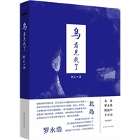 鸟看见我了（再版）——（北岛、罗永浩唯一联名推荐作品——就我的阅读范围所及，阿乙是近年来最优秀的汉语小说家之一。）