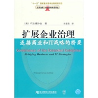 扩展企业治理：连接商业和IT战略的桥梁(公司治理译丛)