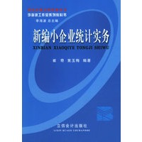 新编小企业统计实务——李海波工作室系列教科书