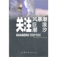 关注风暴潮　巨浪　潮汐