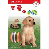 儿童目击者(全6册)