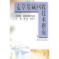 麦草浆碱回收技术指南
