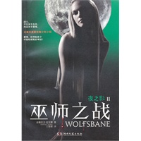 夜之影II:巫师之战