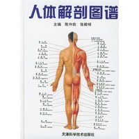 人体解剖图谱