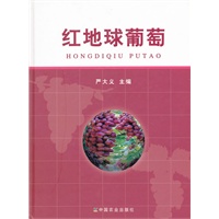 红地球葡萄(精装) 包500