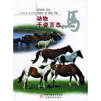 动物千姿百态：马