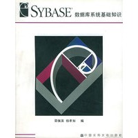 SYBASE数据库系统基础知识 （特价/封底打有圆孔）