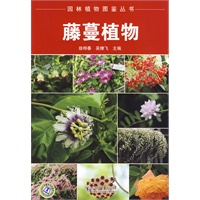 园林植物图鉴丛书 藤蔓植物