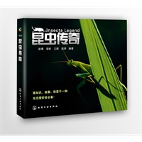 昆虫传奇(附光盘)