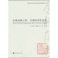 宏观金融工程：宏观经济资本卷