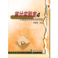 审计实验室4——其他鉴证业务的风险控制（审计实验室系列丛书）