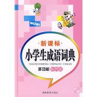 小学生成语词典 多功能彩色版