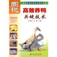 图说高效养鸭关键技术