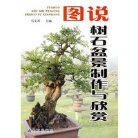 图说树石盆景制作与欣赏
