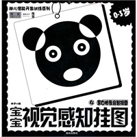 宝宝视觉感知挂图4:黑白抽象启智视图