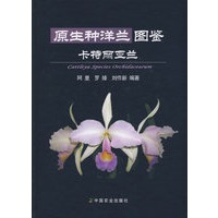 原生种洋兰图鉴: 卡特丽亚兰