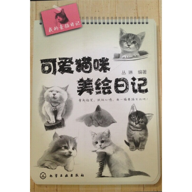 我的素描日记:可爱猫咪美绘日记 化学工业