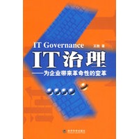 IT治理—为企业带来革命性的变革