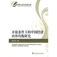 开放条件下的中国经济内外均衡研究（中青年经济学家文库）