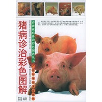猪病诊治彩色图解——畜禽疾病诊治彩色图谱丛书