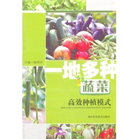 一地多种蔬菜高效种植模式