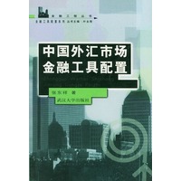 中国外汇市场金融工具配置/金融工程丛书