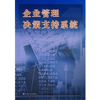 企业管理决策支持系统