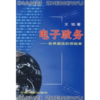 电子政务——世界潮流的领跑者