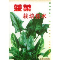 菠菜栽培技术