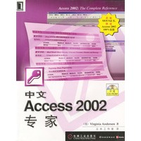 中文Access 2002专家(附光盘)