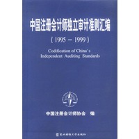 中国注册会计师独立审计准则汇编(1995-1999)