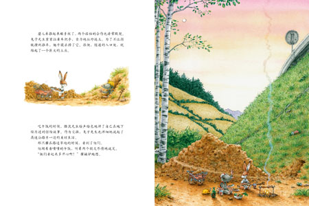 插图