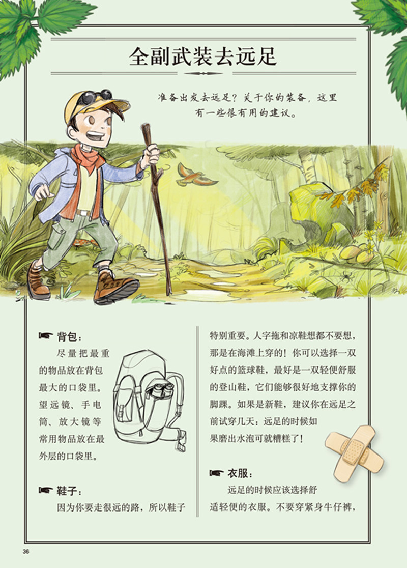 插图