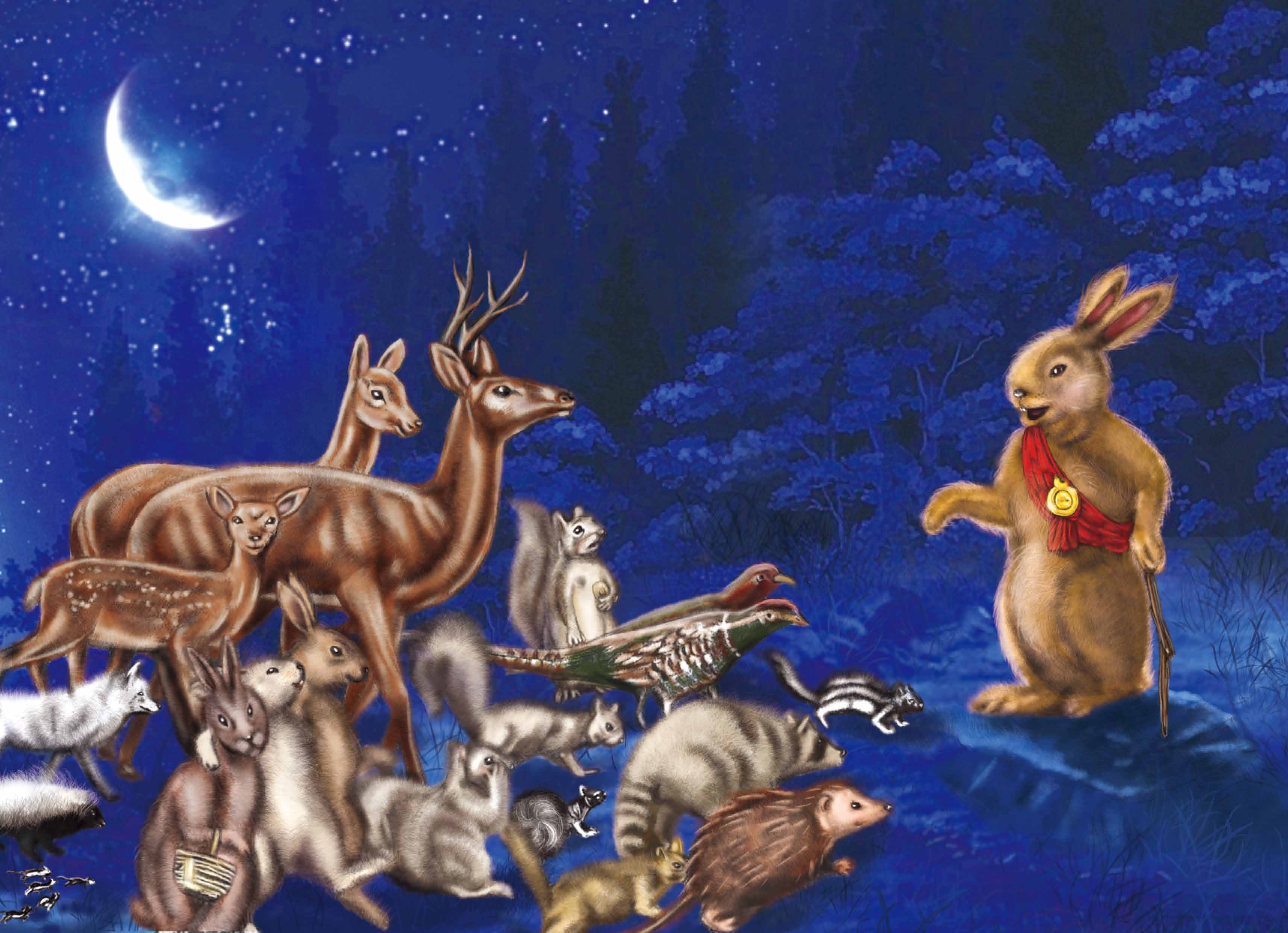 兔子坡全集-国际大奖小说 纽伯瑞金奖、凯迪克