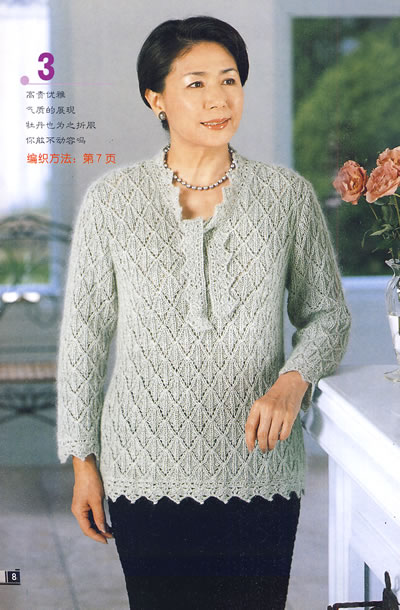 <em>中老年毛衣编织实例</em>
