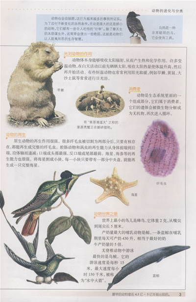 中国少年百科全书:动物百科