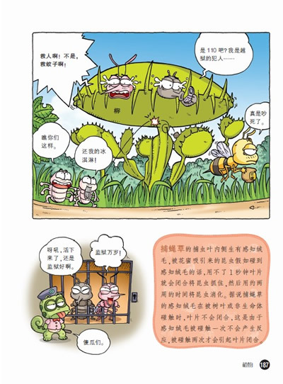插图