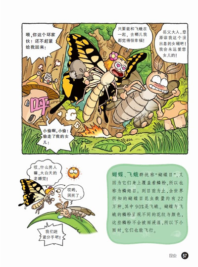 插图